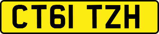 CT61TZH