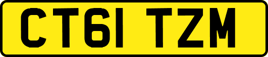 CT61TZM