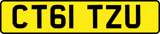 CT61TZU