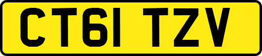 CT61TZV