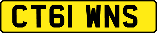 CT61WNS