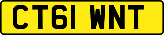 CT61WNT