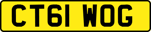 CT61WOG