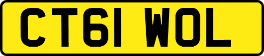 CT61WOL
