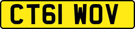 CT61WOV