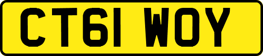 CT61WOY