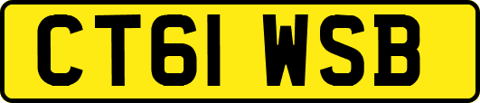 CT61WSB
