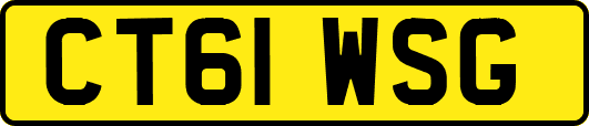 CT61WSG