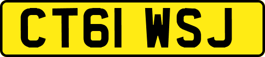 CT61WSJ