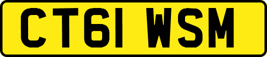 CT61WSM