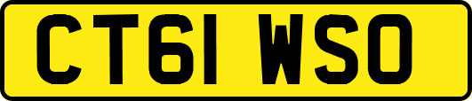 CT61WSO