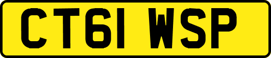 CT61WSP