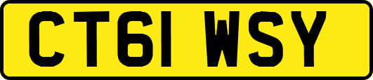 CT61WSY