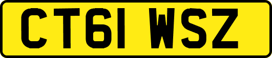 CT61WSZ