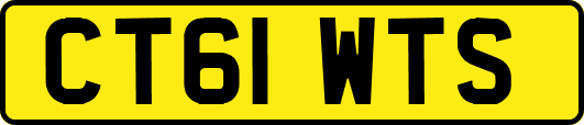 CT61WTS