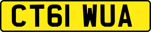 CT61WUA
