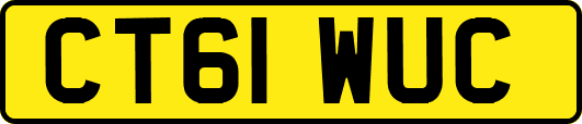 CT61WUC