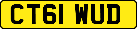 CT61WUD