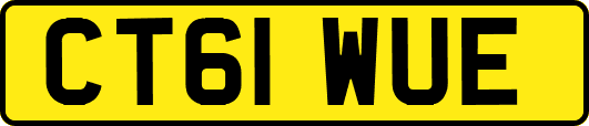 CT61WUE