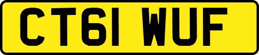 CT61WUF