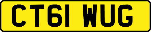 CT61WUG