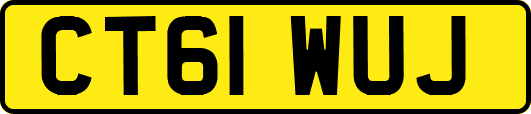 CT61WUJ