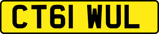 CT61WUL
