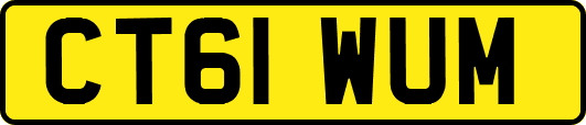 CT61WUM