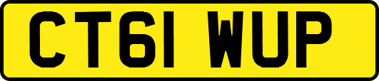 CT61WUP