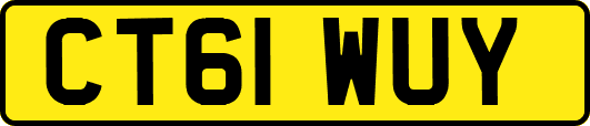 CT61WUY