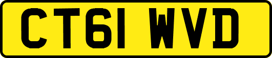 CT61WVD