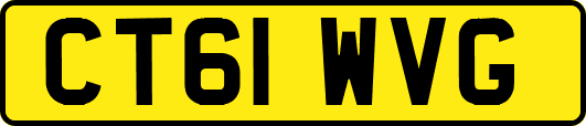 CT61WVG