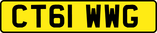 CT61WWG