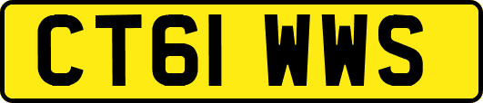 CT61WWS