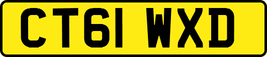 CT61WXD