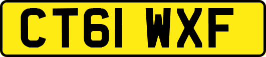 CT61WXF