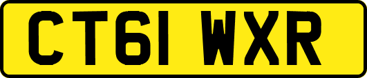CT61WXR