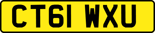 CT61WXU