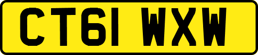 CT61WXW