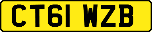 CT61WZB