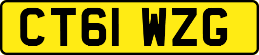 CT61WZG