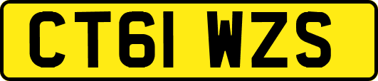 CT61WZS