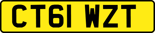 CT61WZT