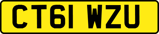 CT61WZU