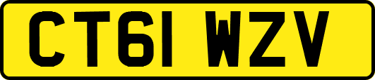 CT61WZV