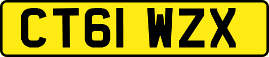 CT61WZX