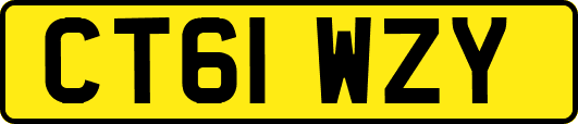 CT61WZY