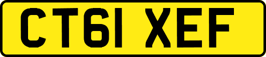 CT61XEF