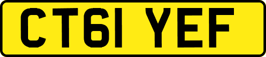 CT61YEF