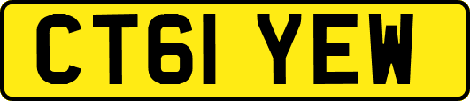 CT61YEW